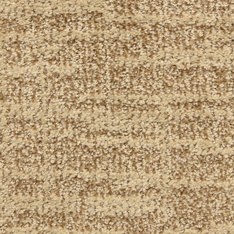 Expressions carpet by Dixie Home