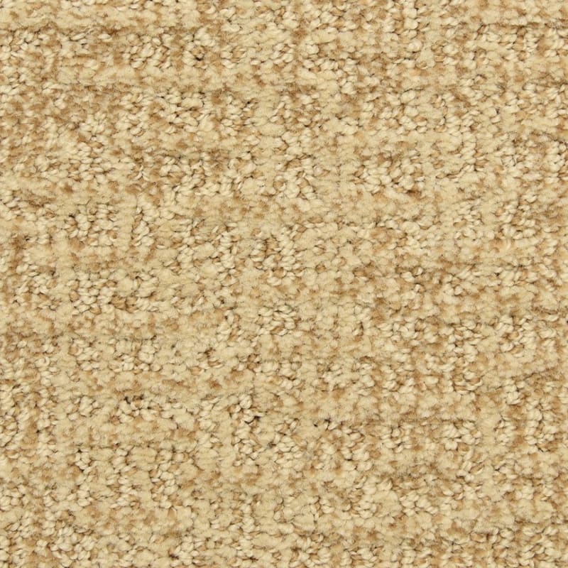 Aspects carpet by Dixie Home