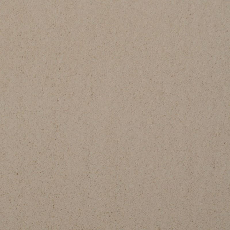 Touch of Velvet carpet by Dixie Home