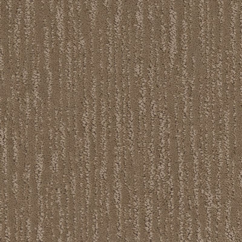 Gratifying carpet by Dixie Home