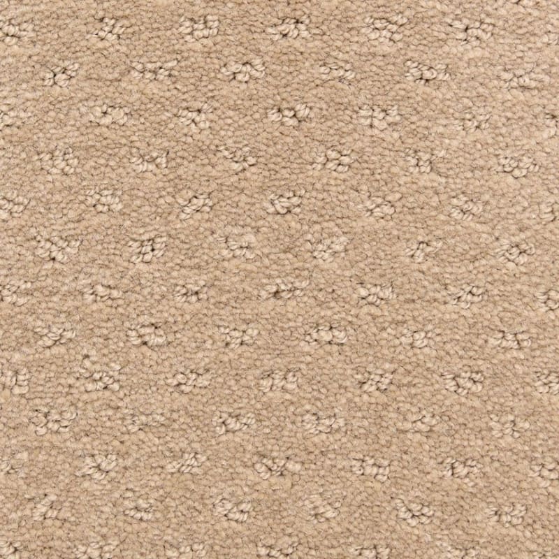 Dreamer carpet by Dixie Home