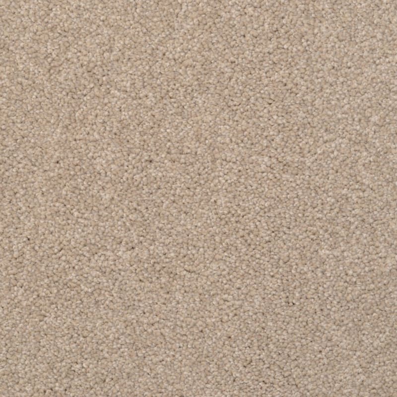 Cozy carpet by Dixie Home