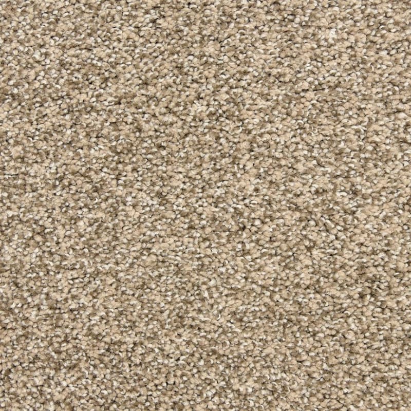 Rochelle carpet by Dixie Home