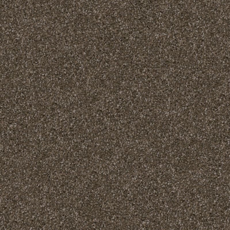 Labrador carpet by Dixie Home