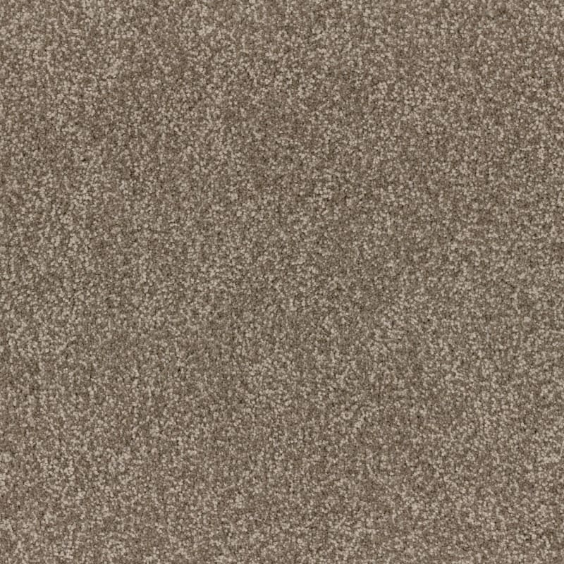 Summer Escape carpet by Dixie Home