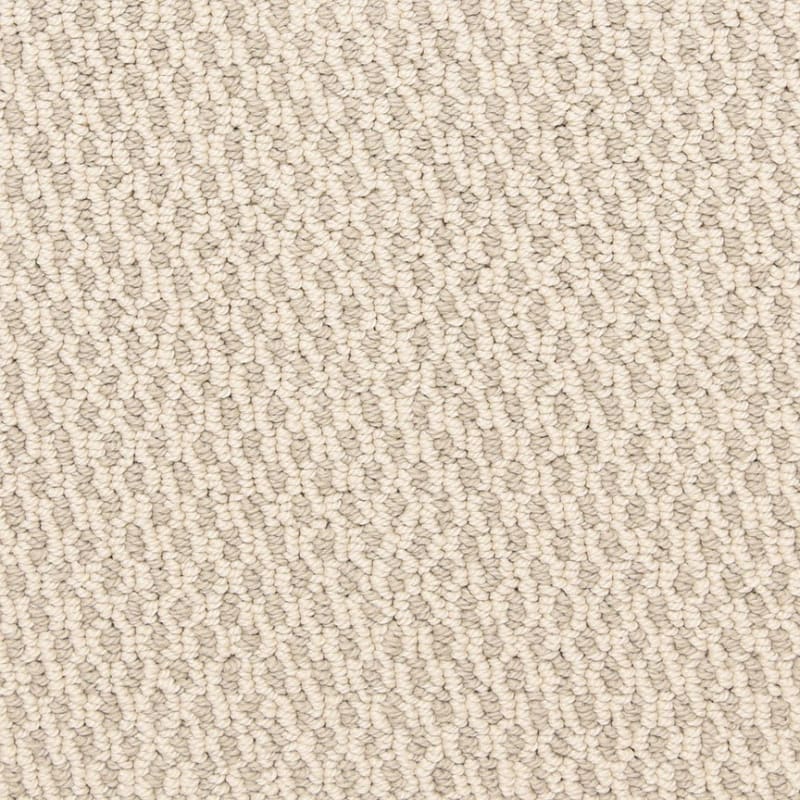Larson carpet by Dixie Home