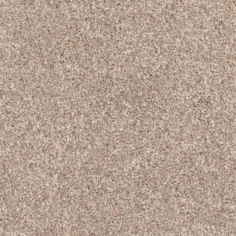 Husky carpet by Dixie Home