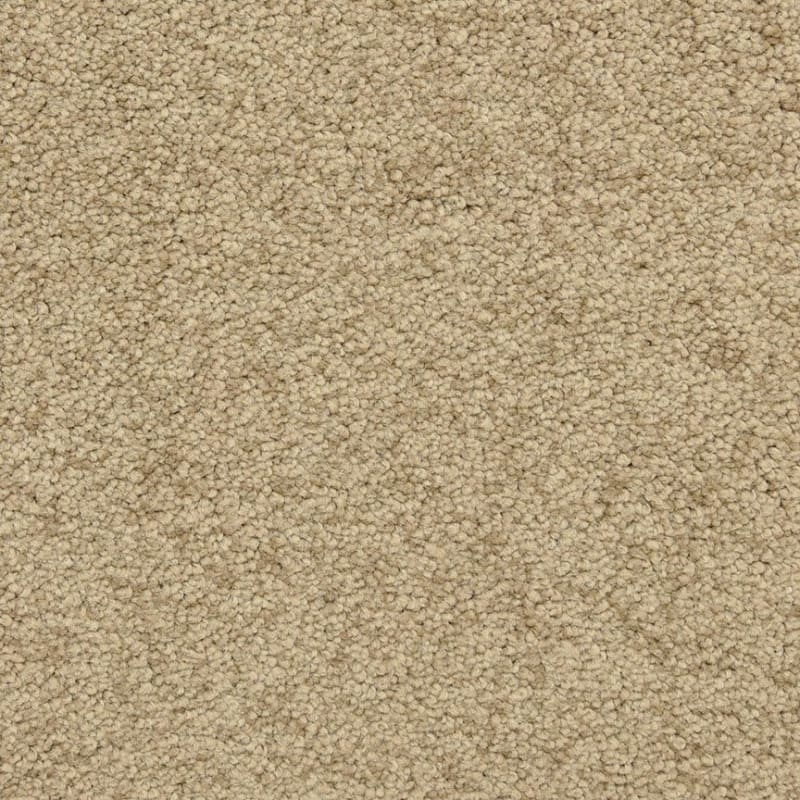 Cassina carpet by Dixie Home