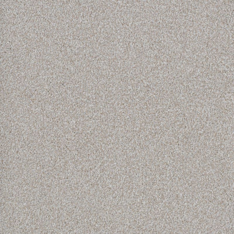 Big Dog carpet by Dixie Home