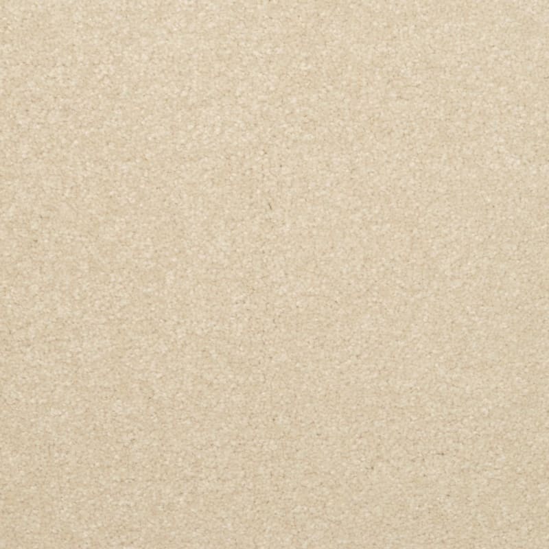 Inspiring carpet by Dixie Home