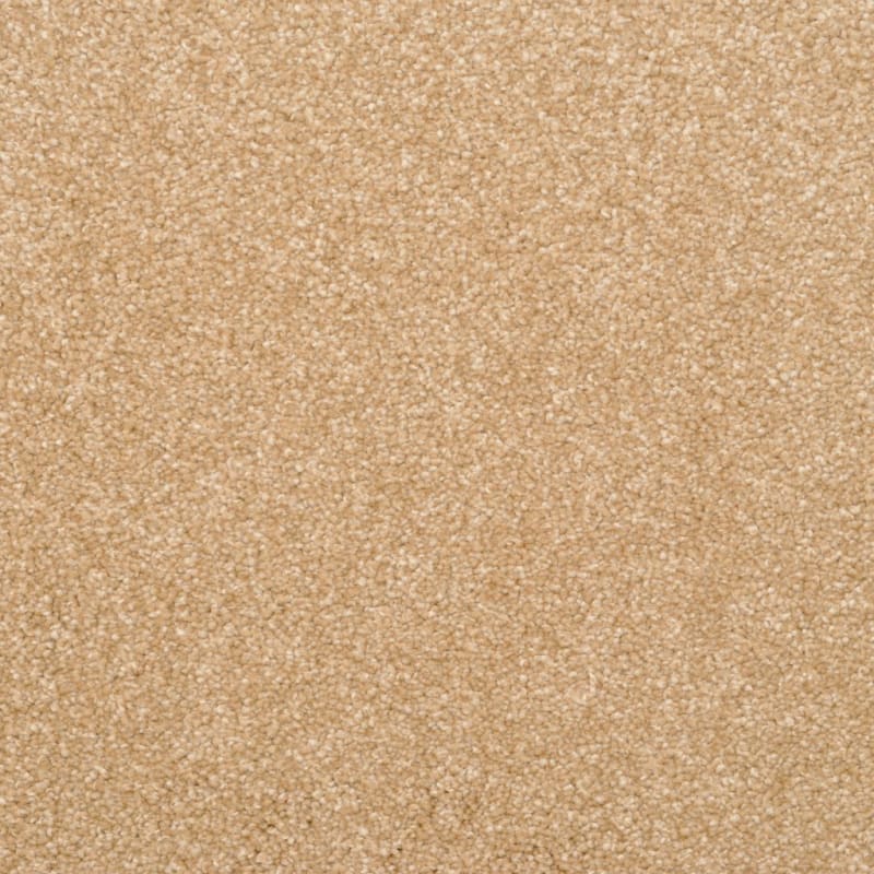 True Comfort carpet by Dixie Home