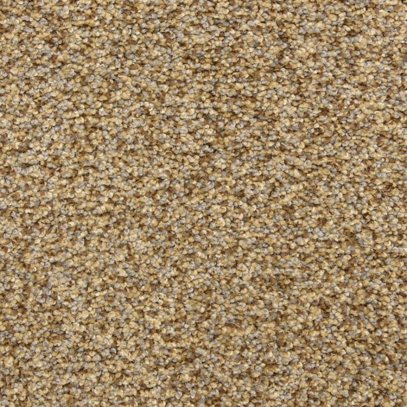 Color Festival carpet by Dixie Home