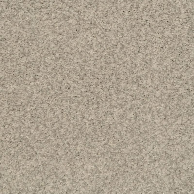 Innovations carpet by Dixie Home