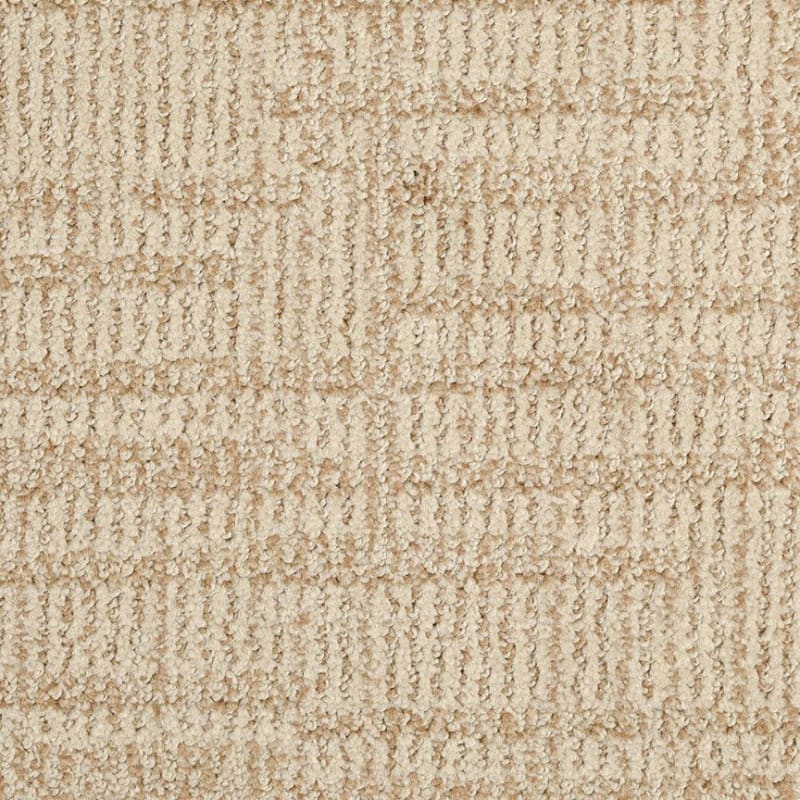 Template carpet by Dixie Home