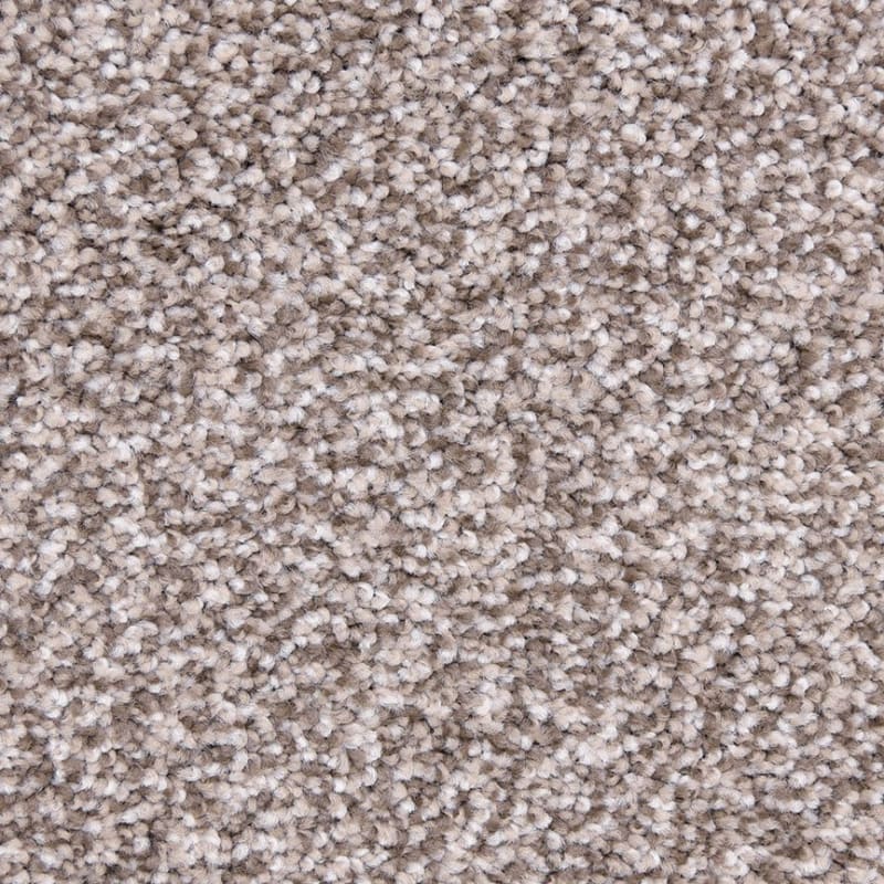Star Power carpet by Dixie Home