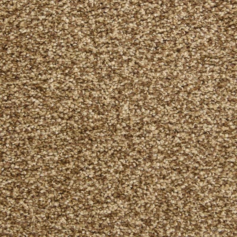 Colorworks carpet by Dixie Home