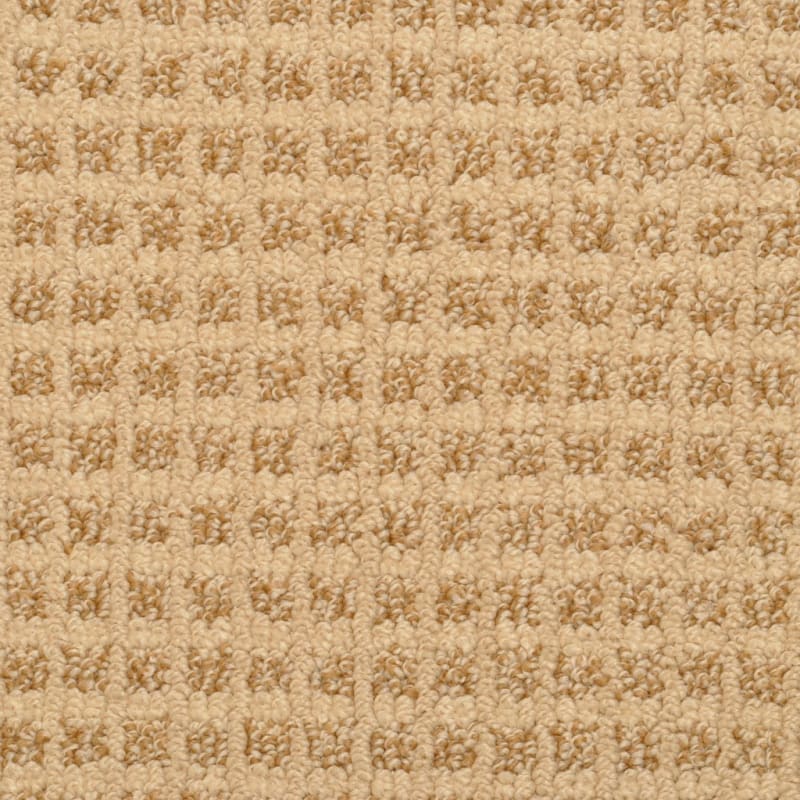 Rock Creek carpet by Dixie Home