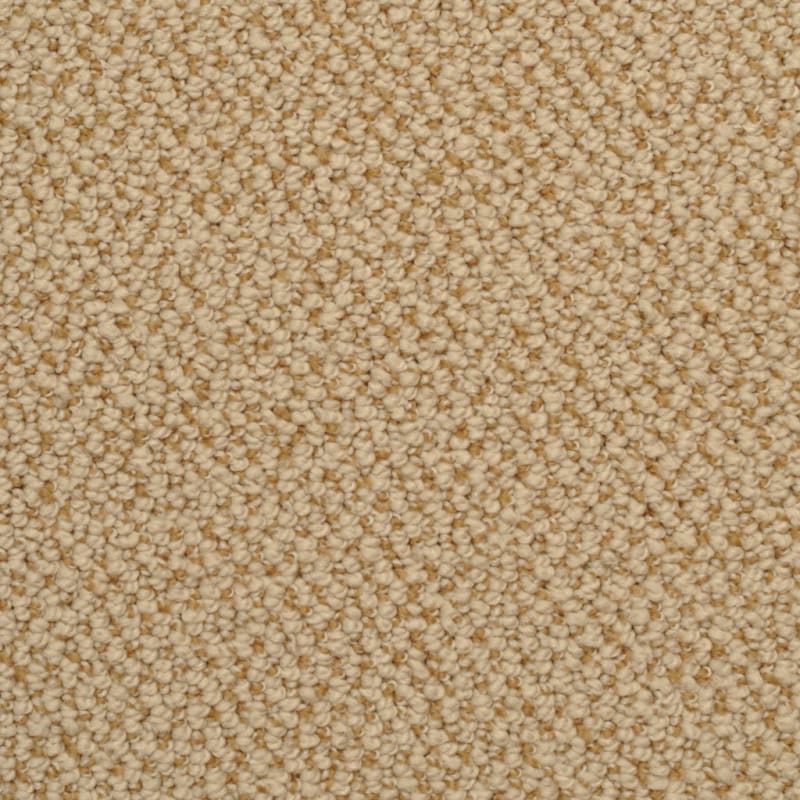 Authentic Living carpet by Dixie Home