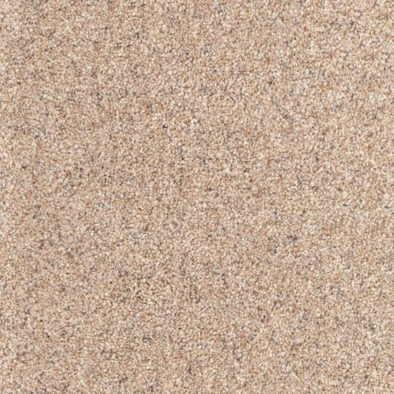 Husky carpet by Dixie Home