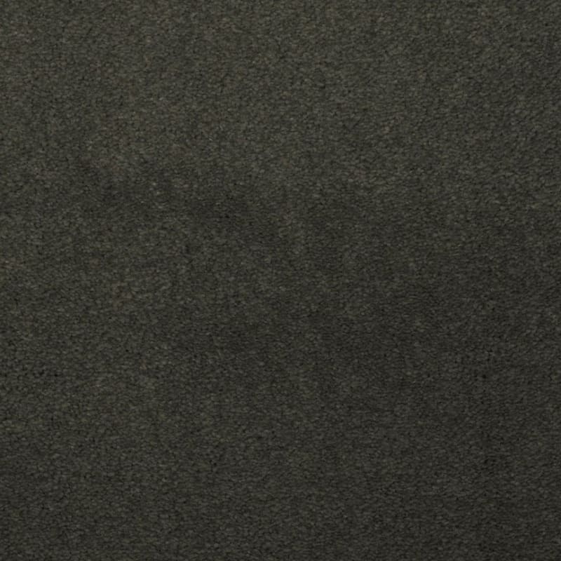Touch of Velvet carpet by Dixie Home