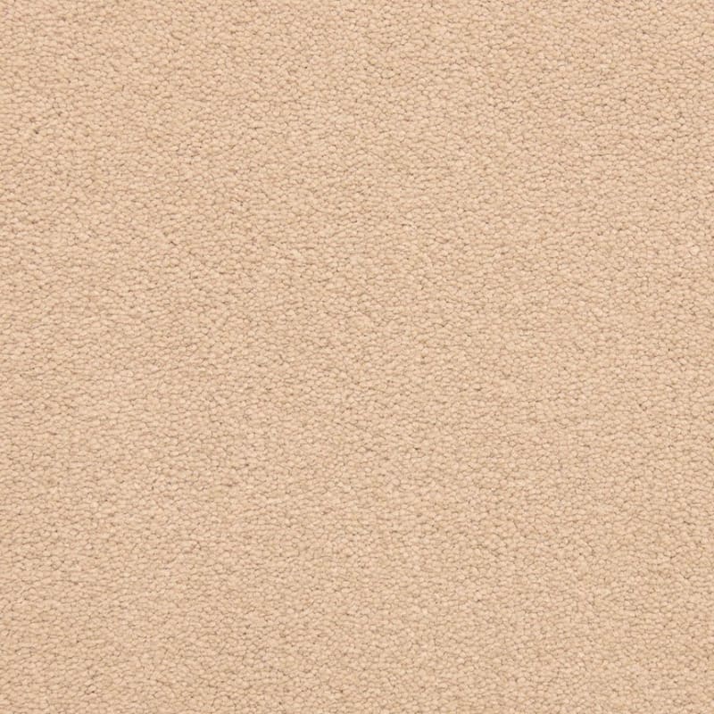 Grand Isle carpet by Dixie Home