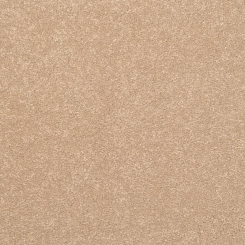 Inspiring carpet by Dixie Home