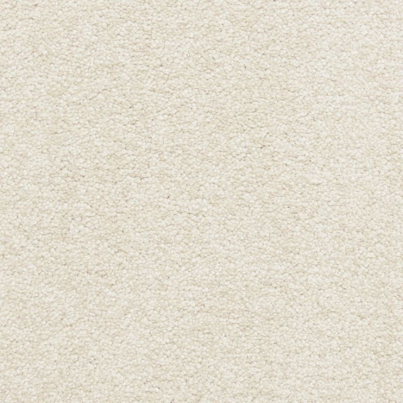 Dawn's Delight carpet by Dixie Home