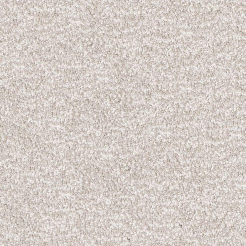 Dx220 carpet by Dixie Home