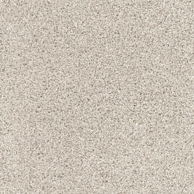 Husky carpet by Dixie Home