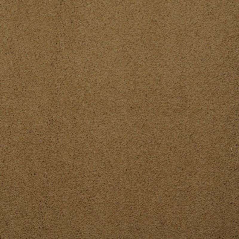 Touch of Velvet carpet by Dixie Home