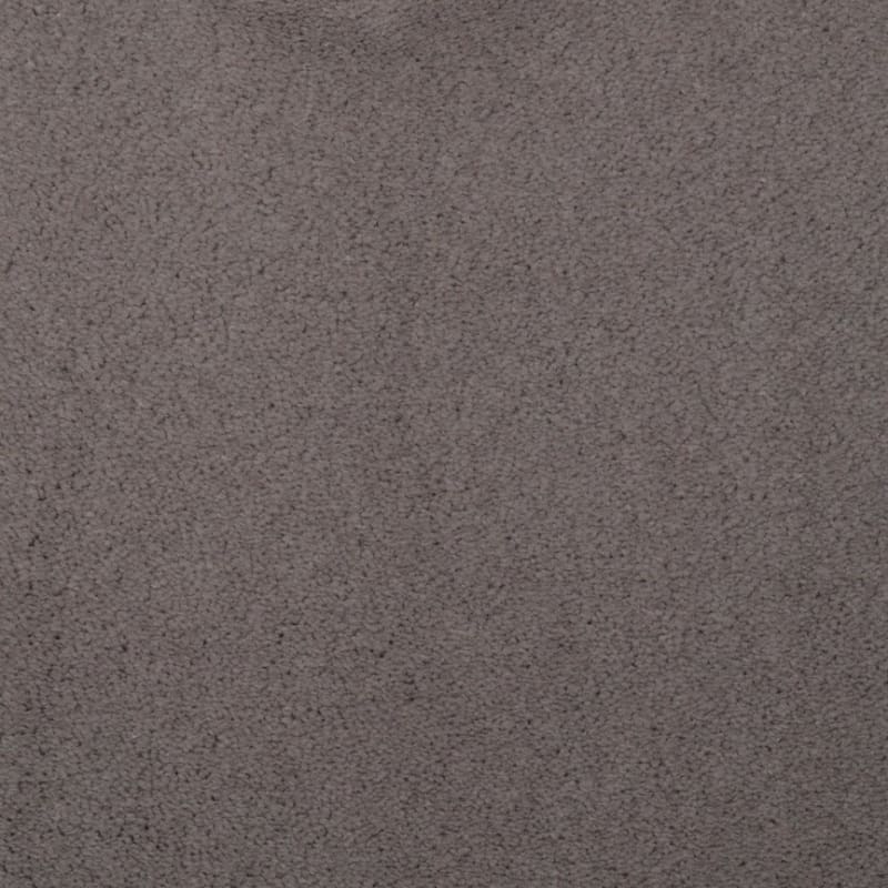 Touch of Velvet carpet by Dixie Home