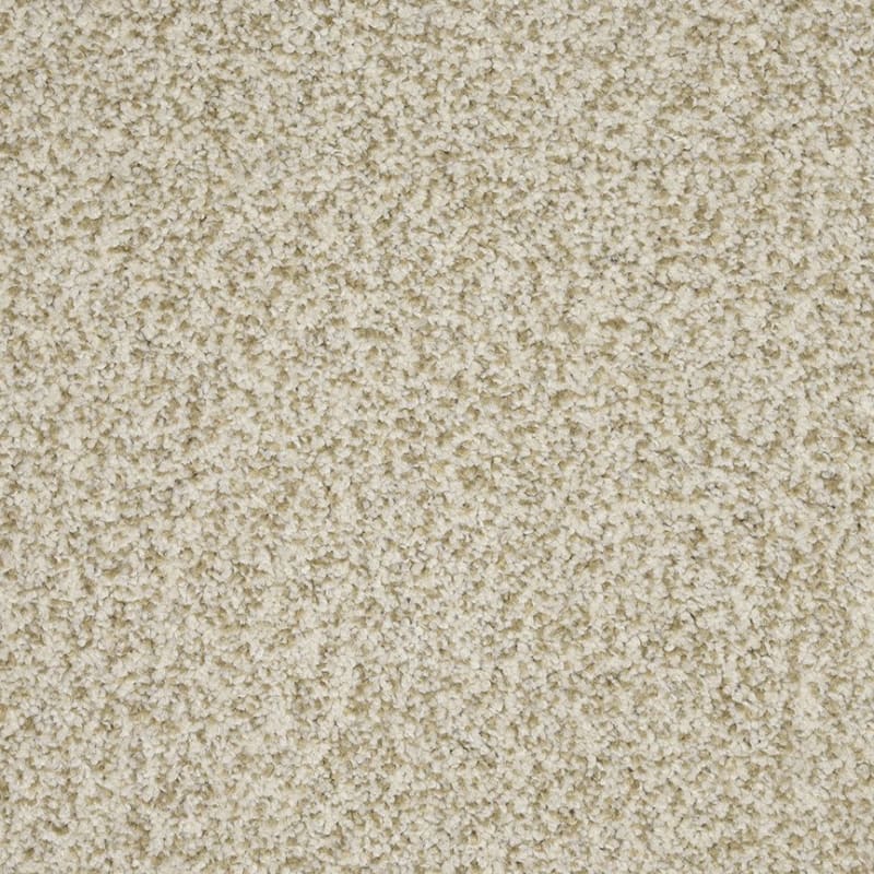New Age carpet by Dixie Home