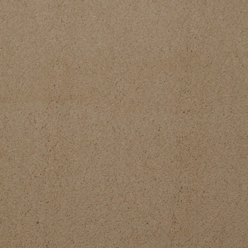 Touch of Velvet carpet by Dixie Home