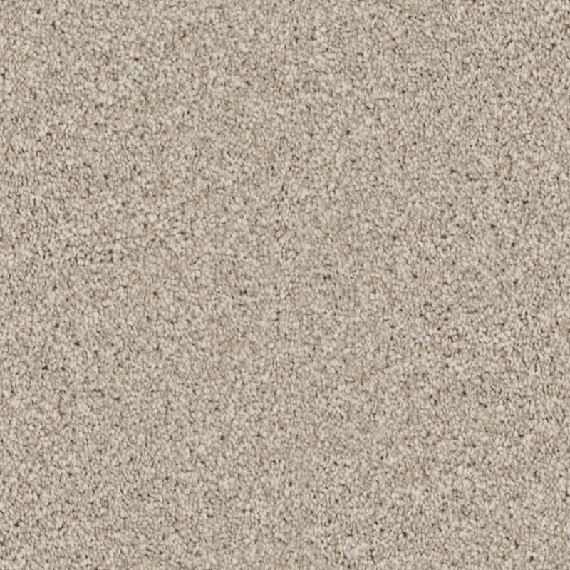 Admiration carpet by Dixie Home