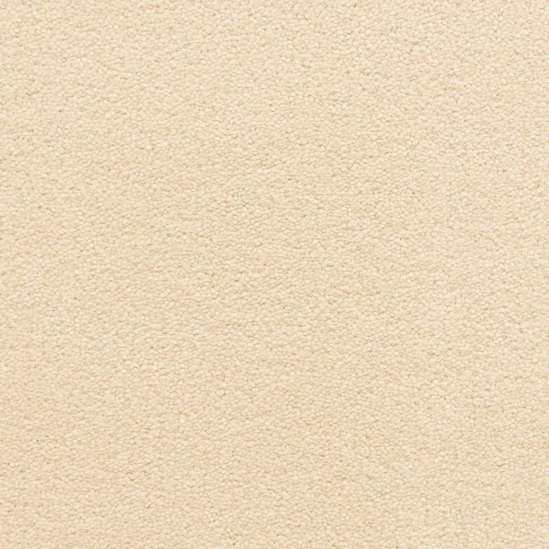 Grand Isle carpet by Dixie Home