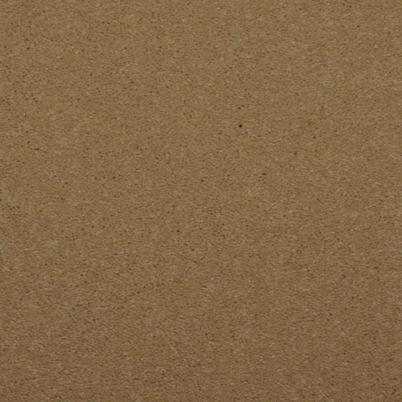 Spellbinding carpet by Dixie Home