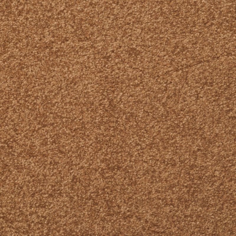 Inspiring carpet by Dixie Home
