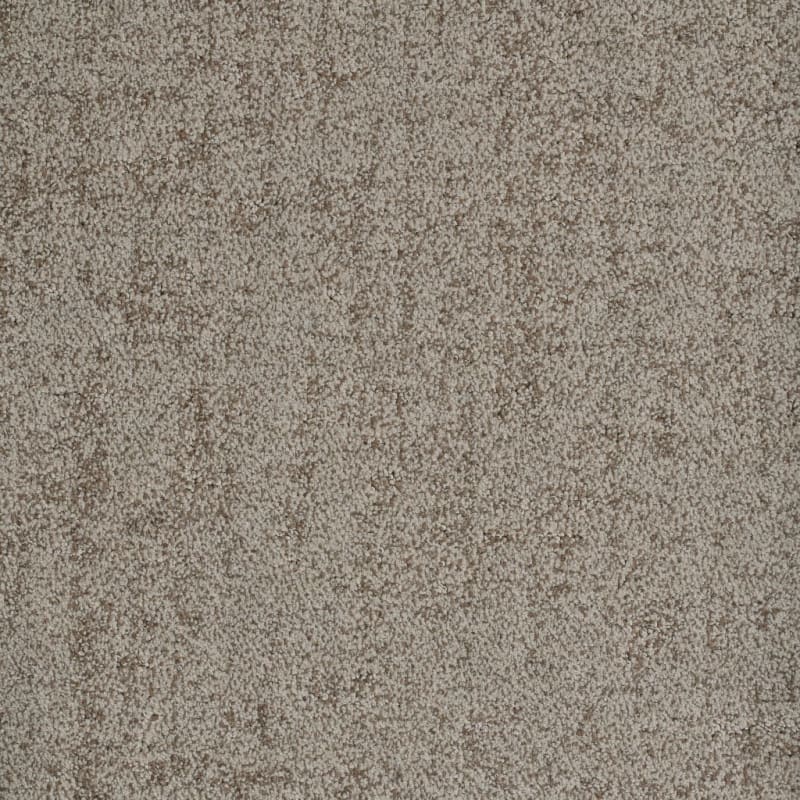 Authentic carpet by Dixie Home