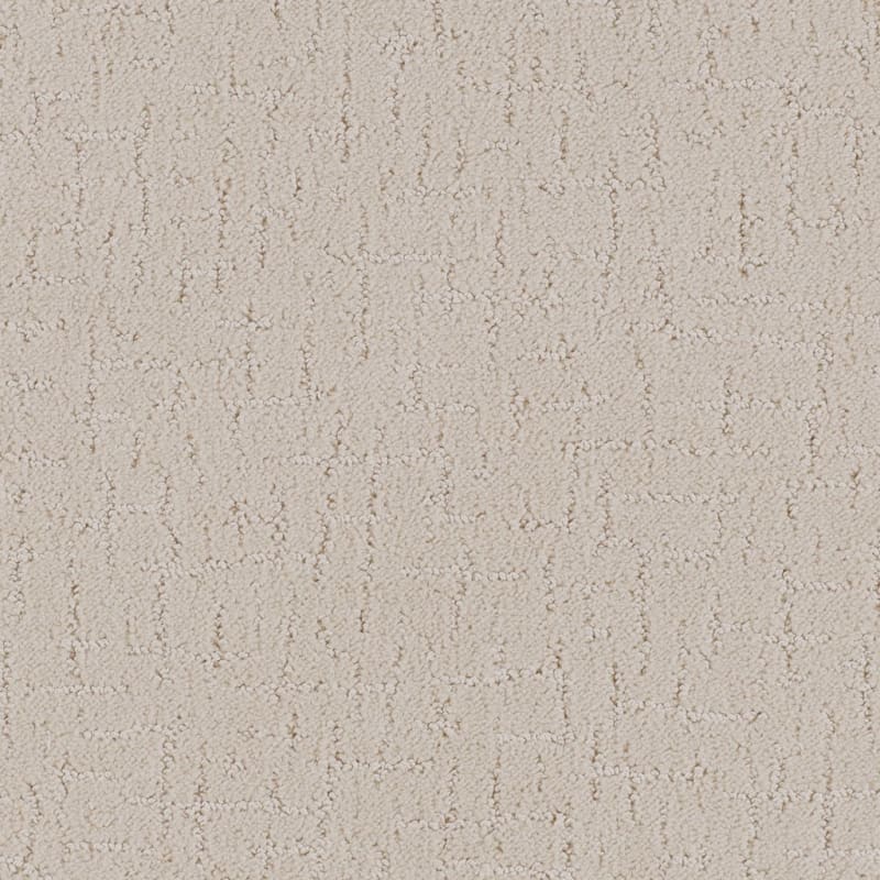 Dx301 carpet by Dixie Home