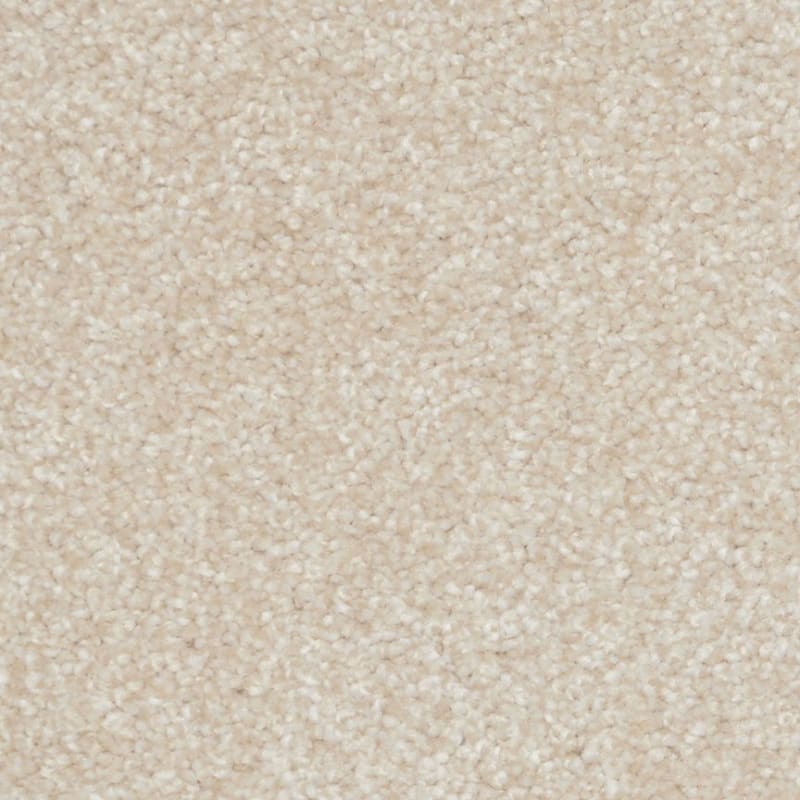Treasured Moment carpet by Dixie Home