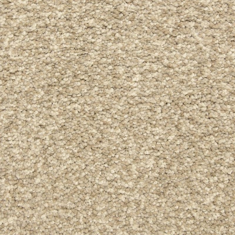 Color Festival carpet by Dixie Home