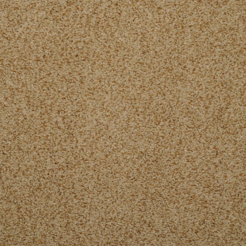 Soft & Silky carpet by Dixie Home