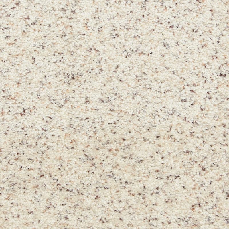Star Power carpet by Dixie Home