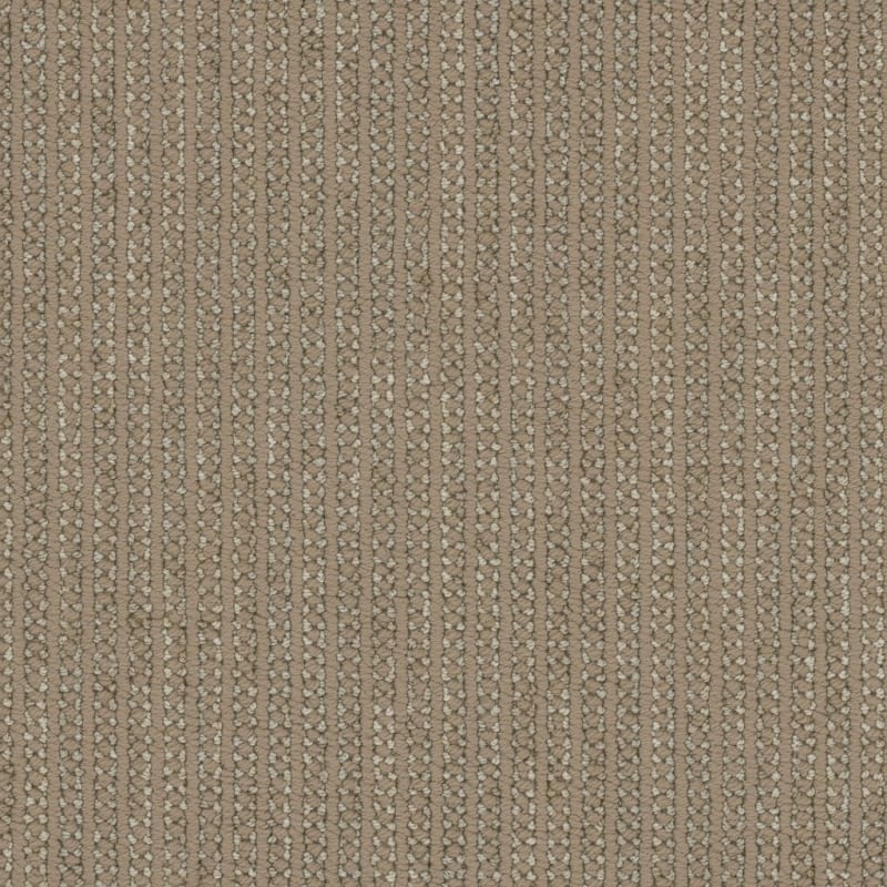 Appealing carpet by Dixie Home