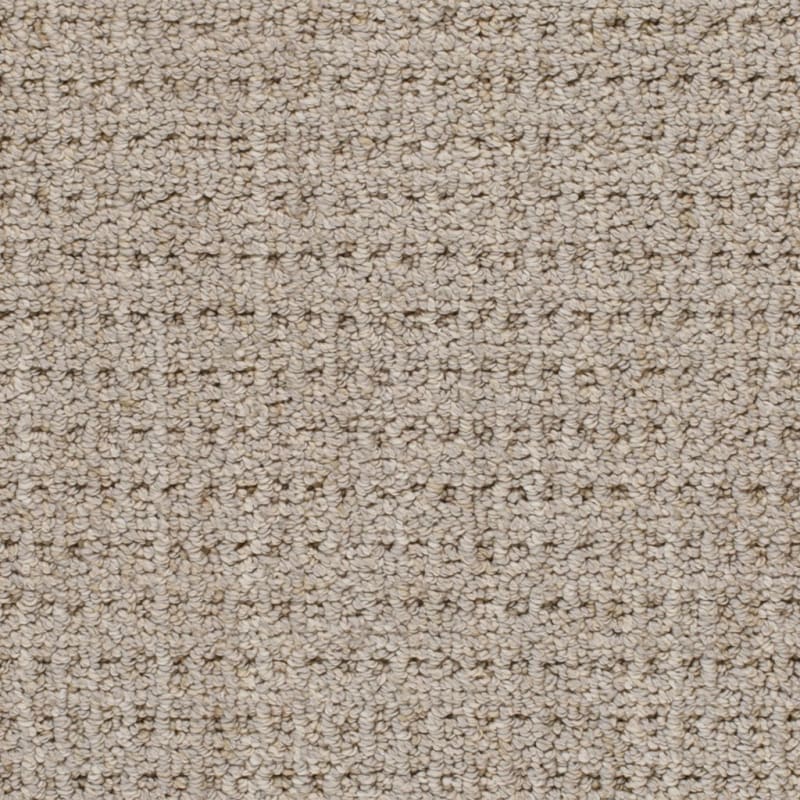 Villa carpet by Dixie Home