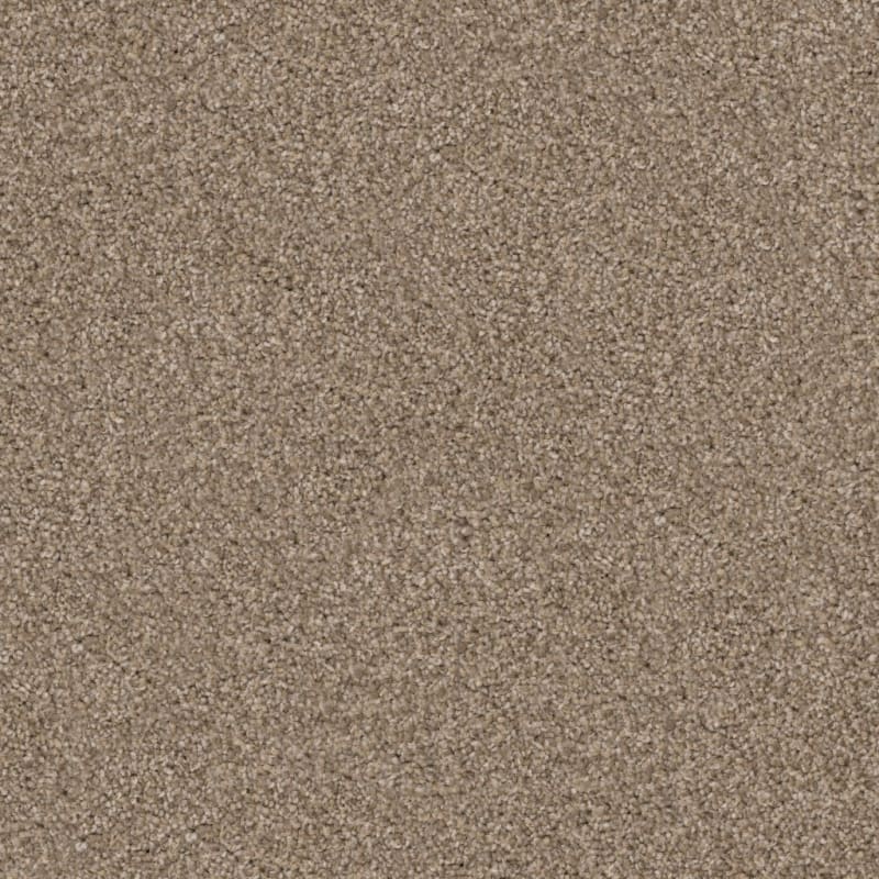 Shepherd carpet by Dixie Home