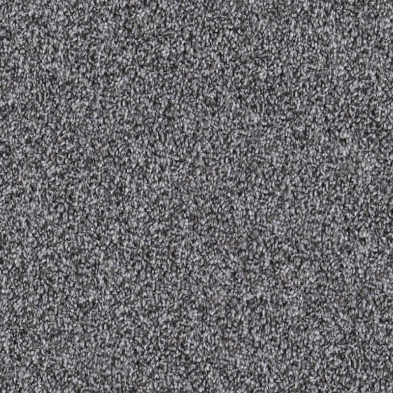 Dx169 carpet by Dixie Home