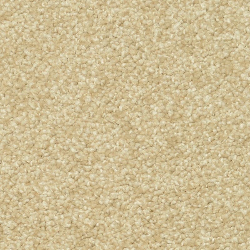 Magic Moment carpet by Dixie Home