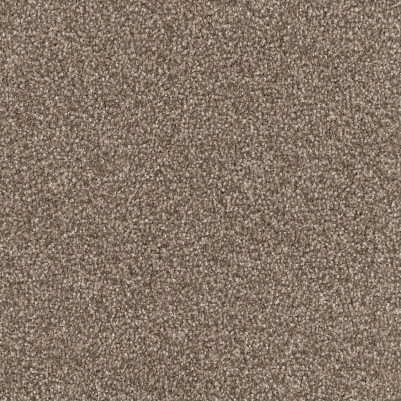 Great Dane carpet by Dixie Home