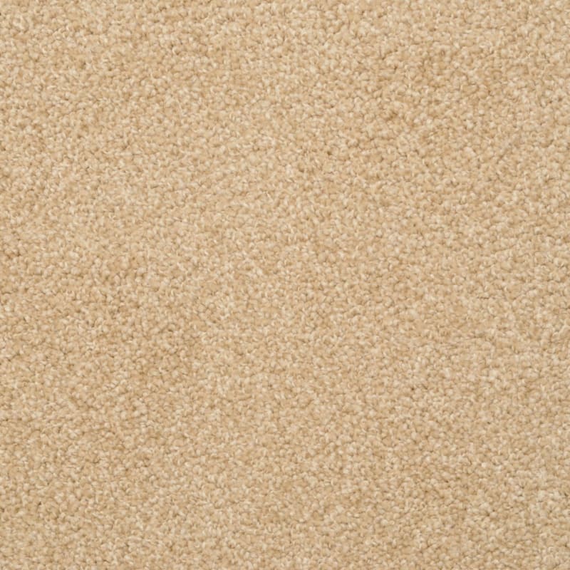 Cozy carpet by Dixie Home
